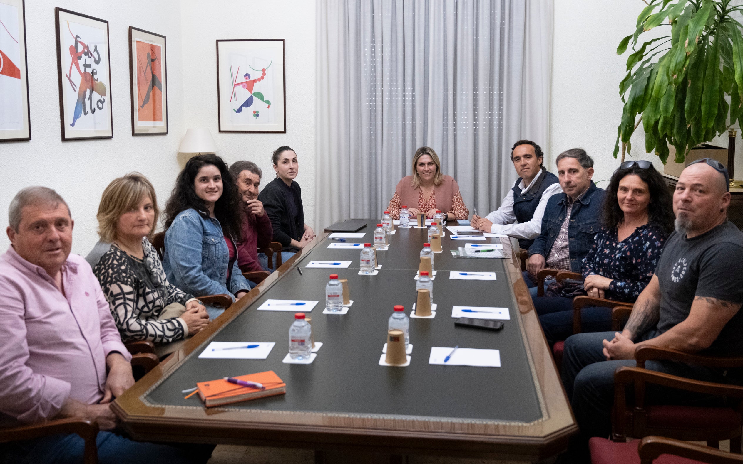 La Diputación sufragará el asesoramiento legal contra las macroplantas fotovoltáicas en la provincia La Diputación sufragará el asesoramiento legal contra las macroplantas fotovoltáicas en la provincia