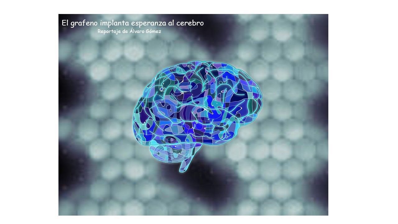 El grafeno implanta esperanza al cerebro El grafeno implanta esperanza al cerebro