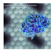 El grafeno implanta esperanza al cerebro
