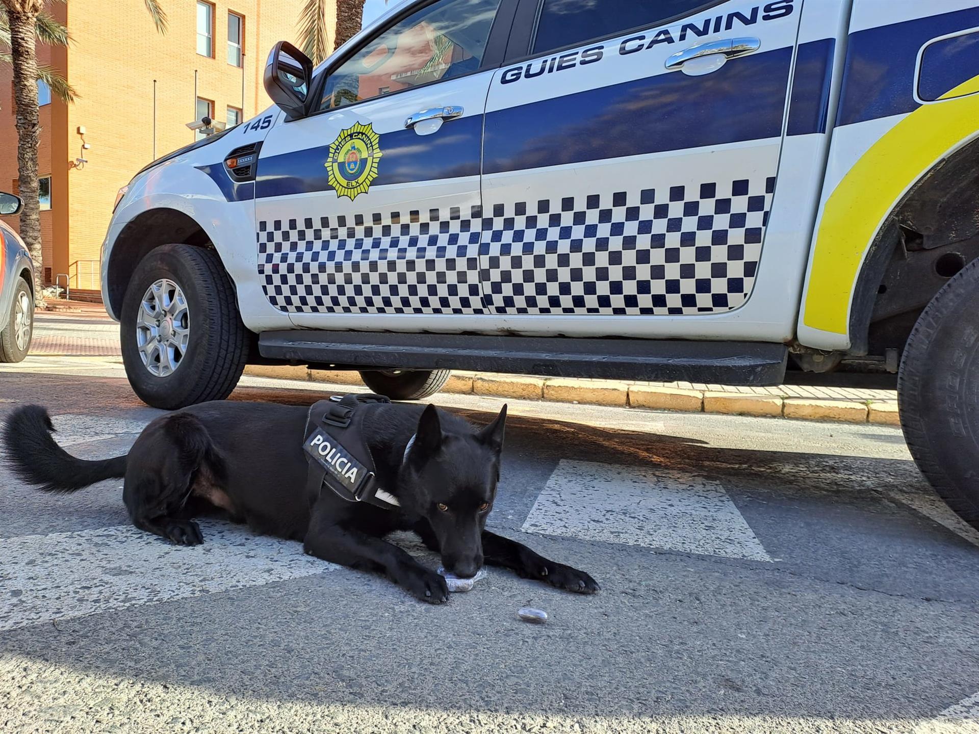 Detenido en la estación de autobuses de Elche con dos bellotas de hachís en el equipaje Detenido en la estación de autobuses de Elche con dos bellotas de hachís en el equipaje