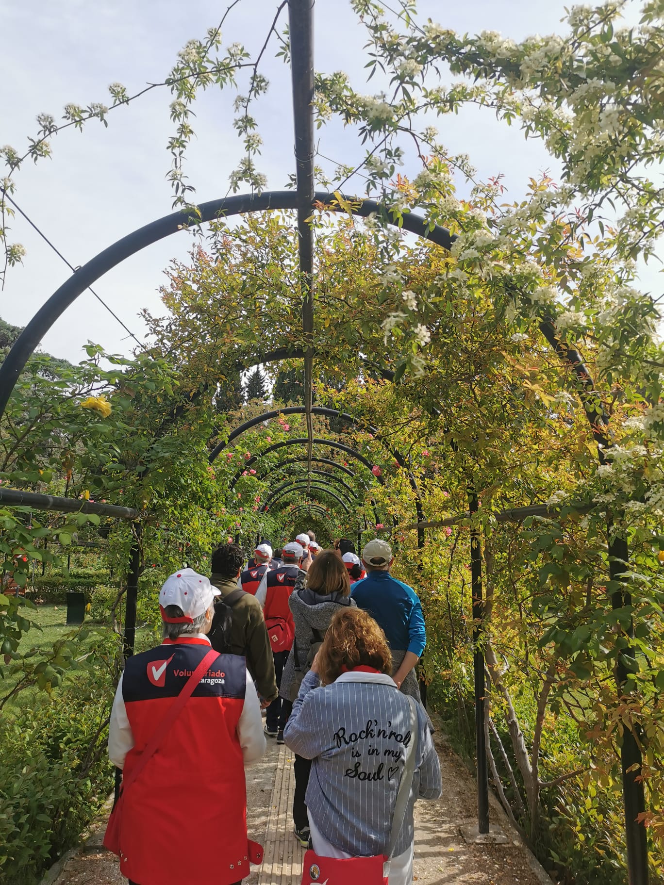 Zaragoza fomenta la salud cardiovascular en los parques Zaragoza fomenta la salud cardiovascular en los parques
