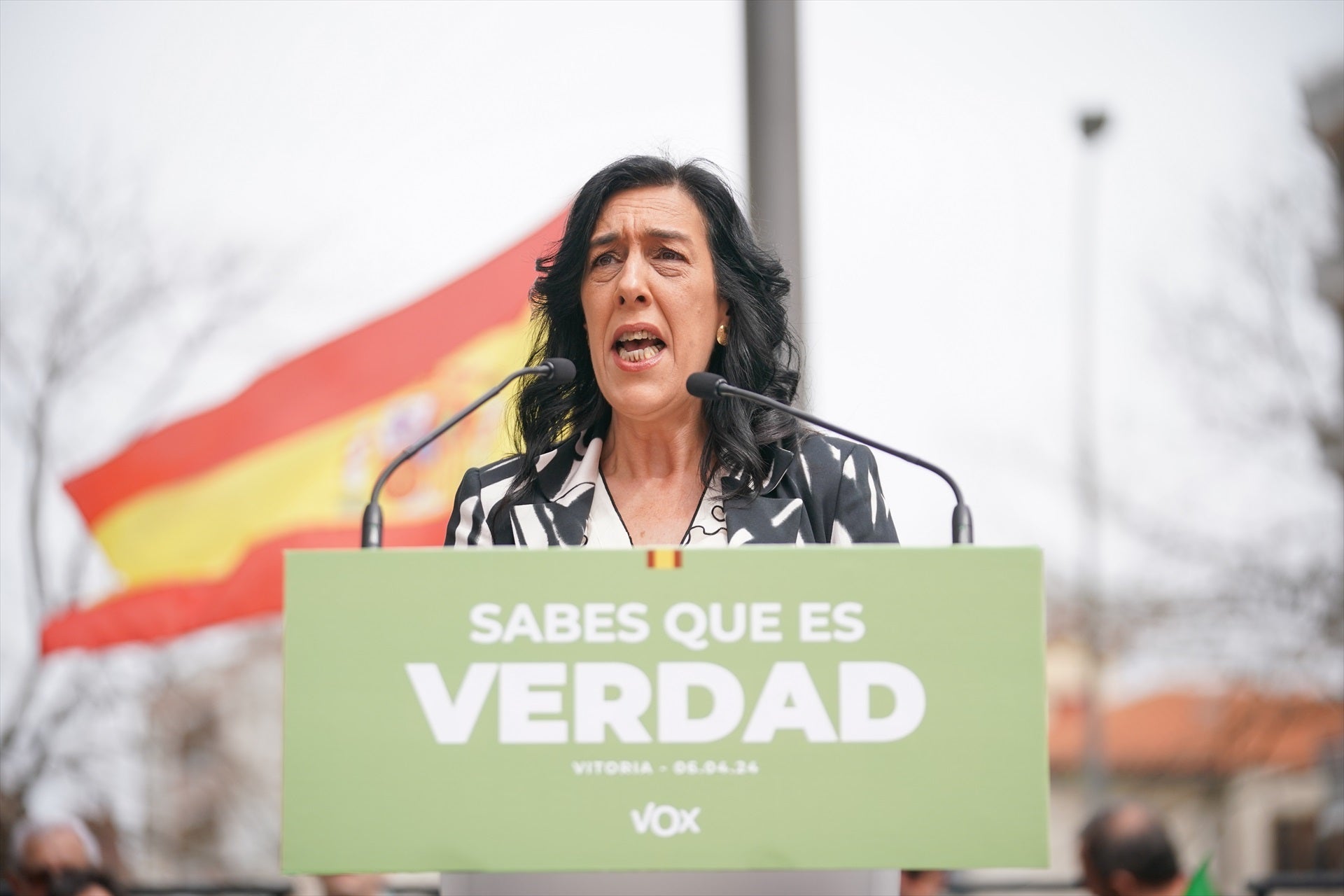 El programa electoral de Vox para las elecciones en el País Vasco 2024: bajada "radical" de impuestos El programa electoral de Vox para las elecciones en el País Vasco 2024: bajada "radical" de impuestos