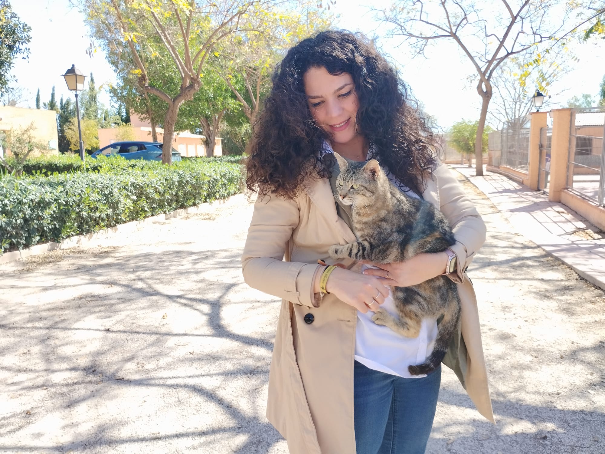 Aumenta el número de animales acogidos en la protectora de Alicante y bajan las adopciones Aumenta el número de animales acogidos en la protectora de Alicante y bajan las adopciones