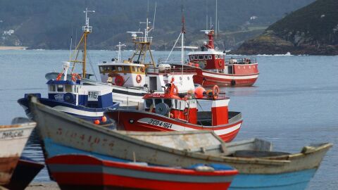 Barcos en un puerto de Galicia