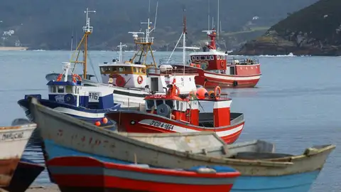 Barcos en un puerto de Galicia Barcos en un puerto de Galicia