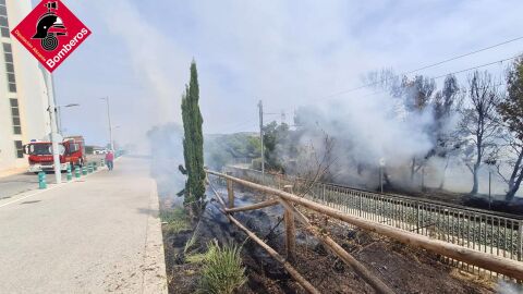 Susto en Benidorm por un incendio originado junto al Palau d’Esports Susto en Benidorm por un incendio originado junto al Palau d’Esports