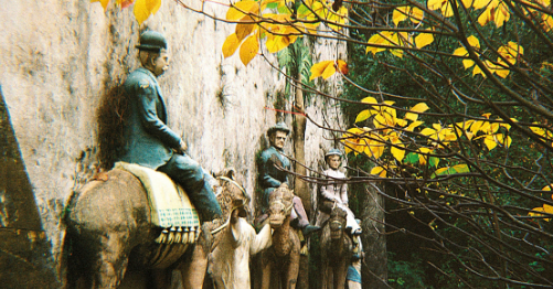 Nacho Somovilla presenta en Onda Cero el primer libro de su editorial: "El Pasatiempo y otros jardines extraordinarios" Nacho Somovilla presenta en Onda Cero el primer libro de su editorial: "El Pasatiempo y otros jardines extraordinarios"