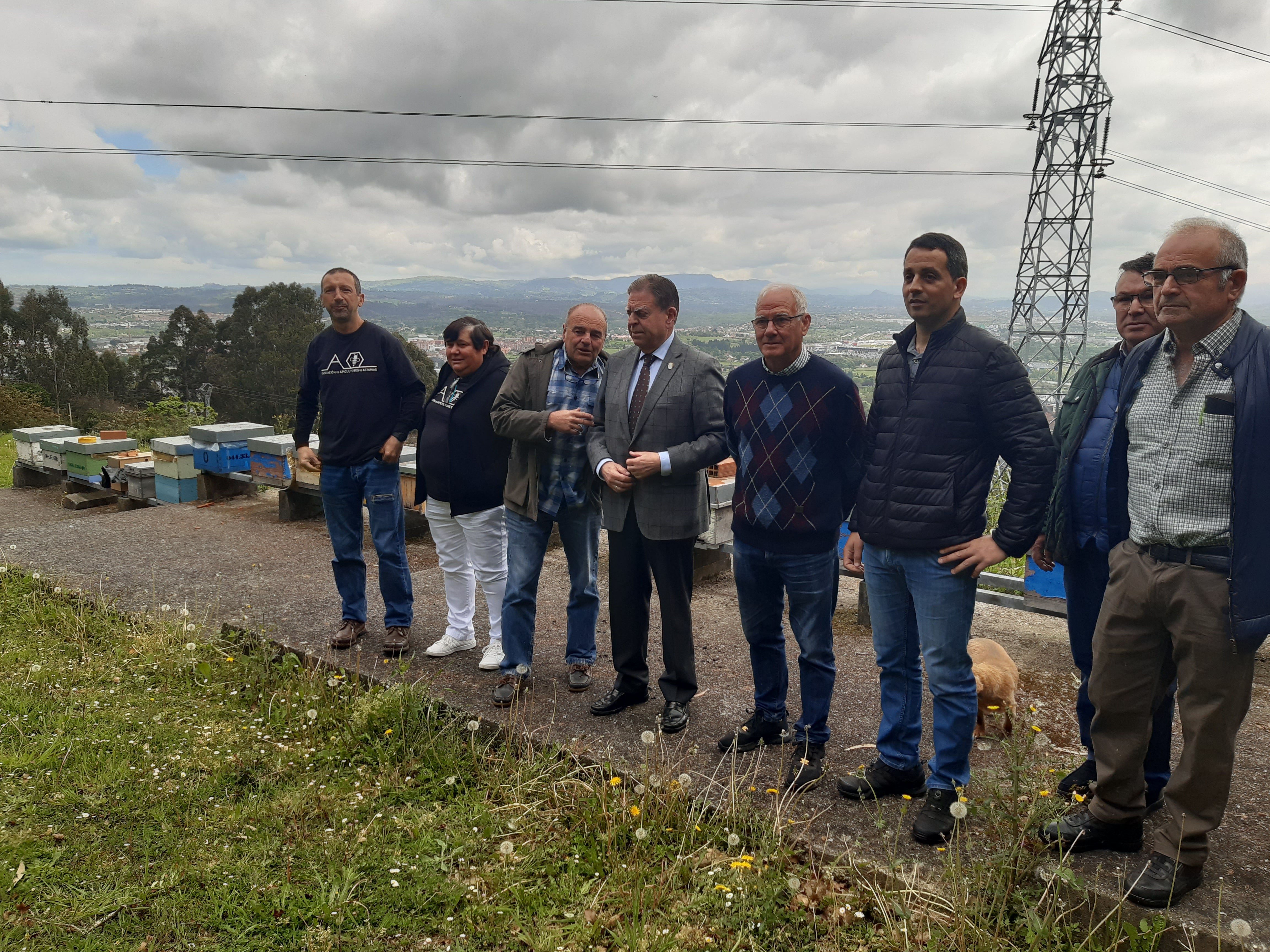El apiario del Naranco cuenta con 30 colmenas con 50.000 abejas en cada una El apiario del Naranco cuenta con 30 colmenas con 50.000 abejas en cada una