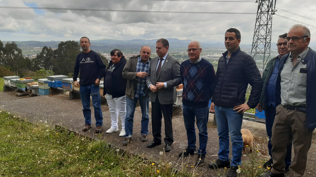 El apiario del Naranco cuenta con 30 colmenas con 50.000 abejas en cada una
