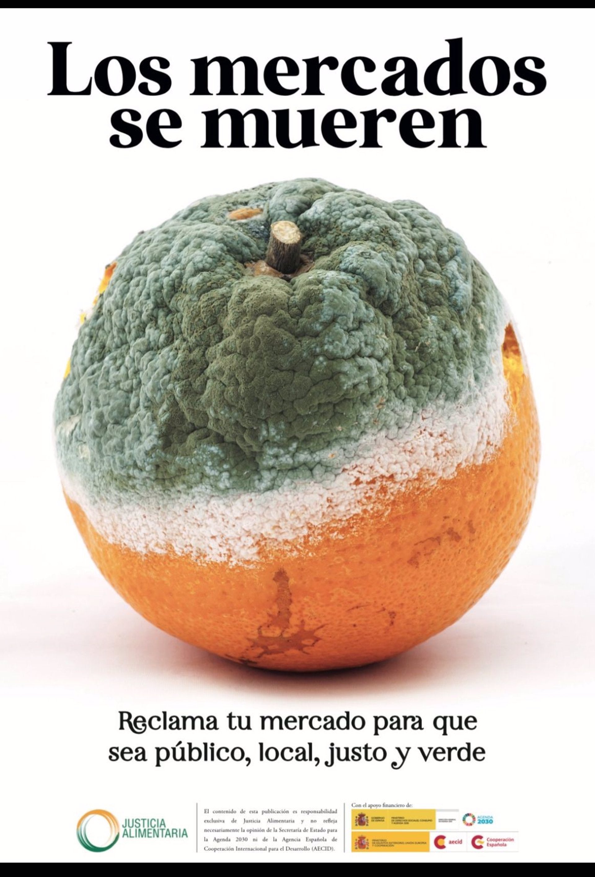 El PPCV exige la retirada de una campaña financiada por el Gobierno con la imagen de una naranja podrida El PPCV exige la retirada de una campaña financiada por el Gobierno con la imagen de una naranja podrida