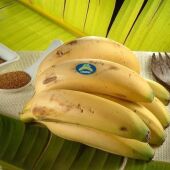 Imagen de archivo de plátano de Canarias.