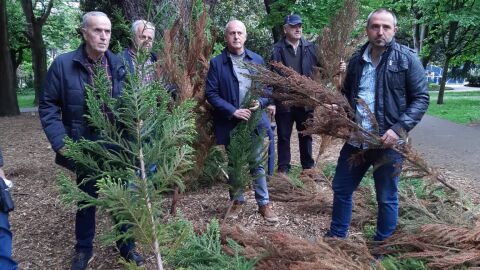 Los sindicatos agrarios y los propietarios forestales de Gipuzkoa denuncian sabotajes forestales