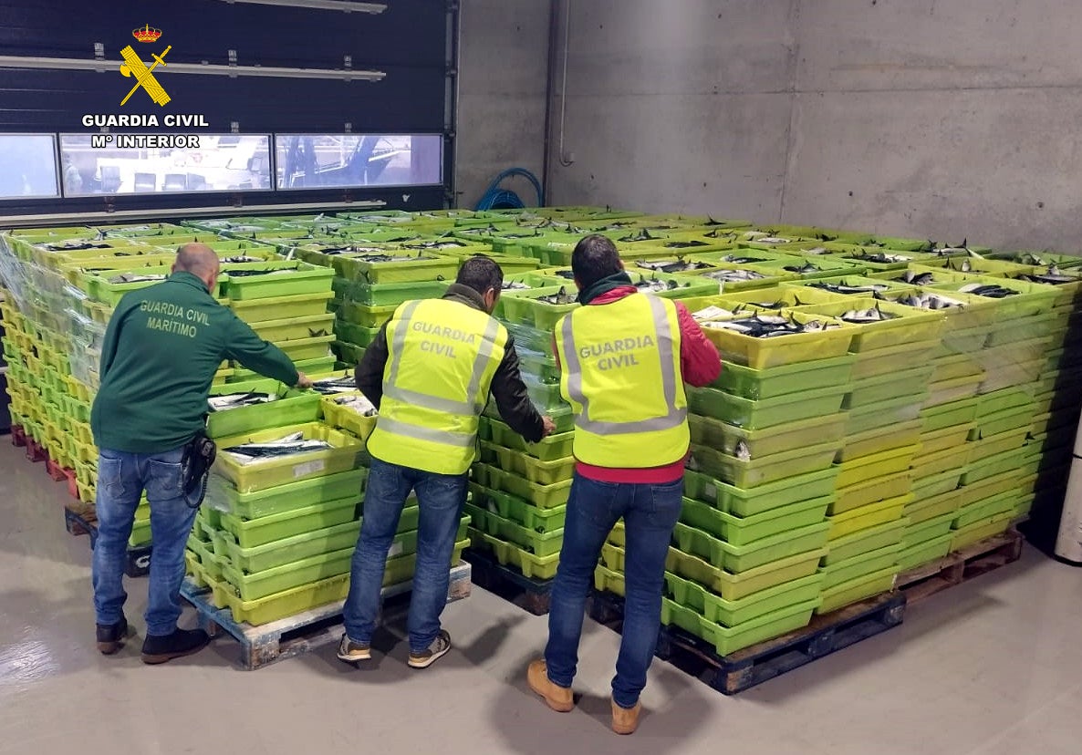 La Guardia Civil de Cantabria interviene más de 9.500 kilos de caballa sin etiquetar en el Puerto de Laredo La Guardia Civil de Cantabria interviene más de 9.500 kilos de caballa sin etiquetar en el Puerto de Laredo