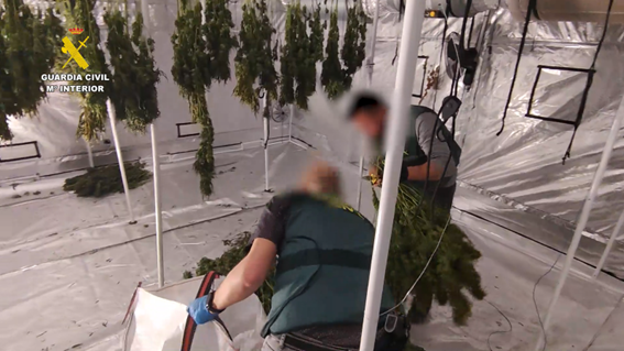 Detenidas 5 personas por organización criminal y tráfico de drogas en Valencia Detenidas 5 personas por organización criminal y tráfico de drogas en Valencia