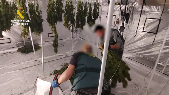 Operaci&oacute;n SERVANA Valencia