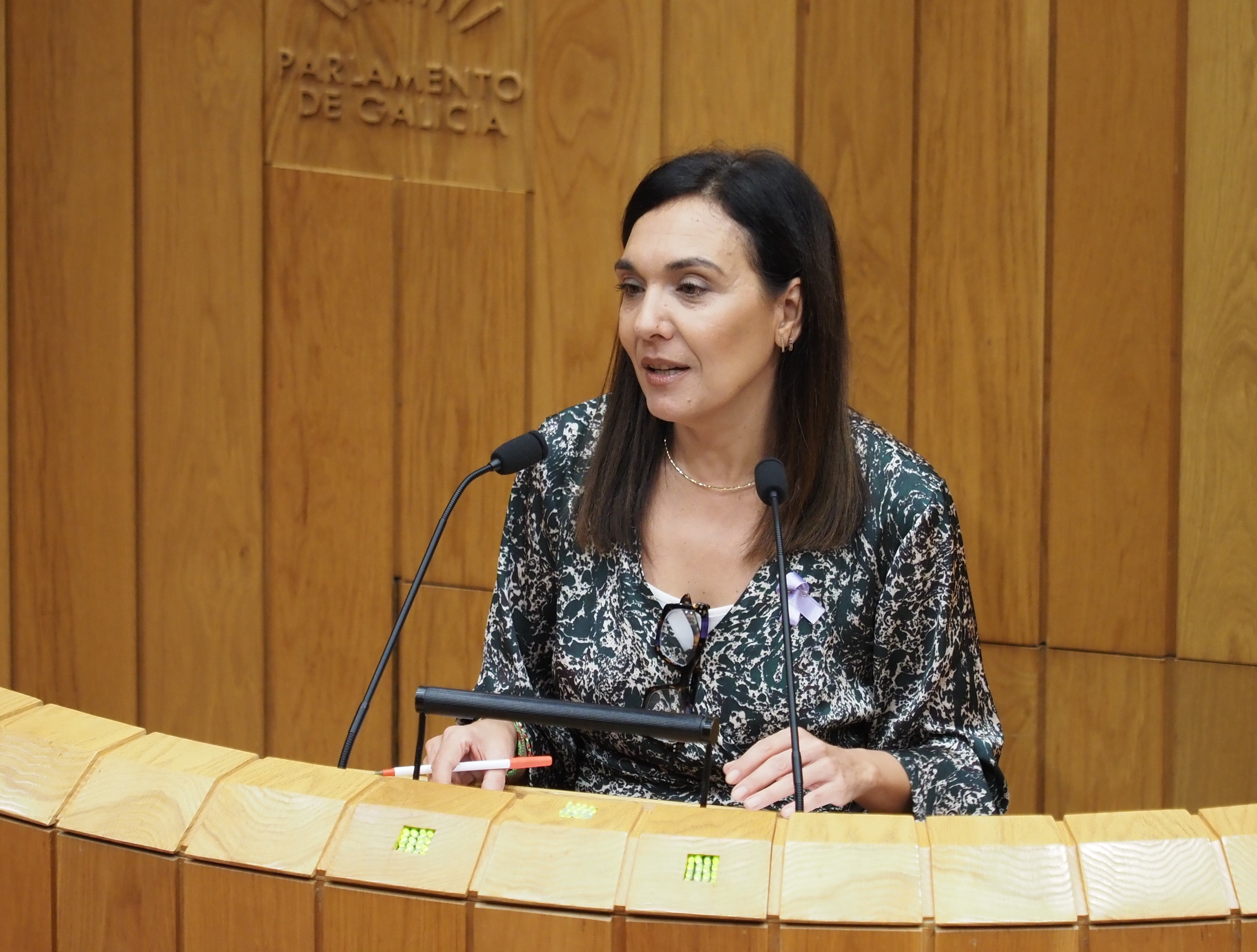 O Psoe pide un modelo de xestión forestal para centralo na prevención de incendios O Psoe pide un modelo de xestión forestal para centralo na prevención de incendios