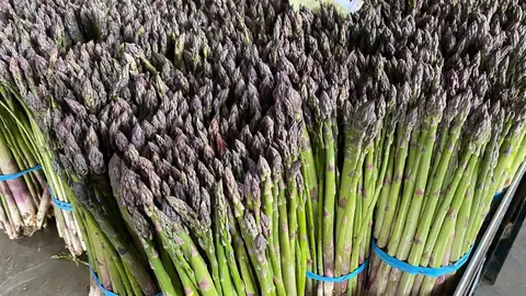 ESPARRAGOS ESPARRAGOS