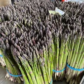 ESPARRAGOS ESPARRAGOS