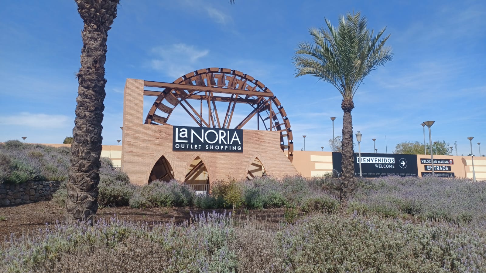 La Noria se pone en marcha contra el cáncer La Noria se pone en marcha contra el cáncer