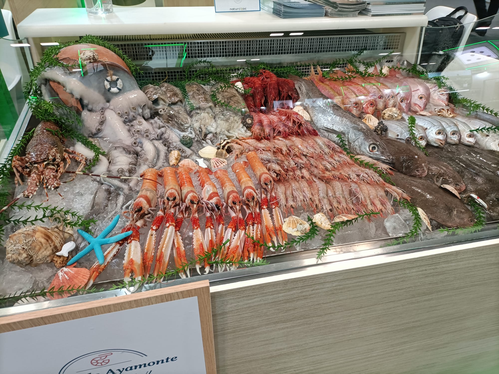 ESPECIAL MÁS DE UNO HUELVA 23/4/2024 ESPECIAL MÁS DE UNO HUELVA 23/4/2024