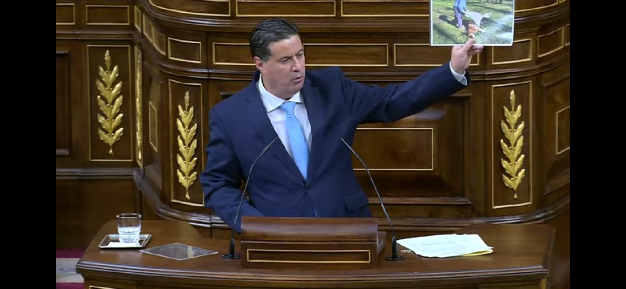 El grupo socialista del Congreso respalda la protección reforzada de la especie porque el modelo anterior es "obsoleto" El grupo socialista del Congreso respalda la protección reforzada de la especie porque el modelo anterior es "obsoleto"