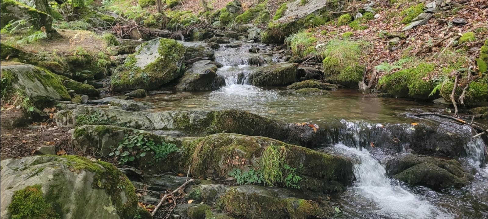 Paseo por los 7 puentes de Azarrulla, con Vicente Orío Paseo por los 7 puentes de Azarrulla, con Vicente Orío