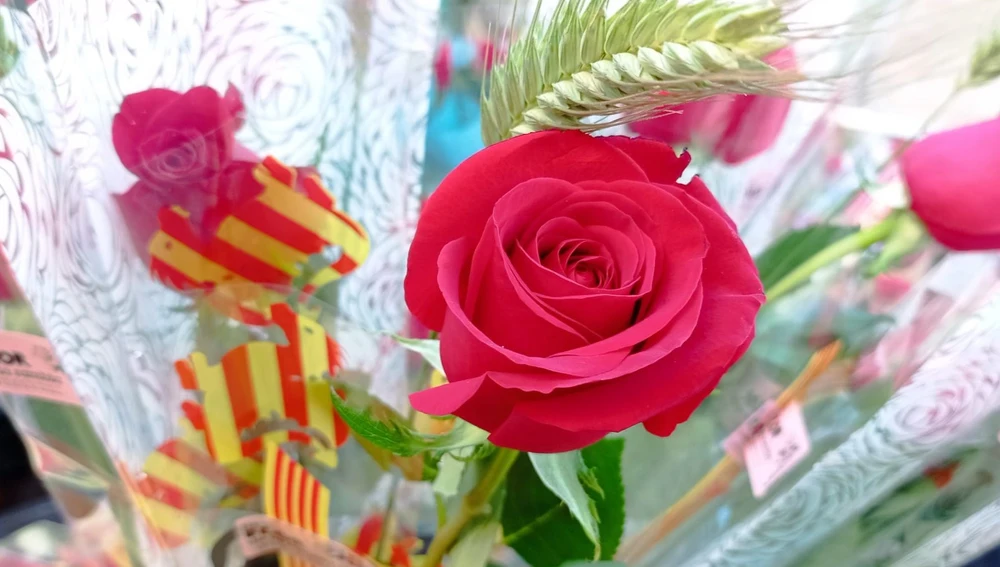 La tradición es regalar rosas y libros por Sant Jordi