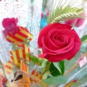 La tradición es regalar rosas y libros por Sant Jordi La tradición es regalar rosas y libros por Sant Jordi