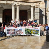manifestacion suelos contaminacion manifestacion suelos contaminacion