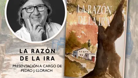 José Martín Mengual publica 'La razón de la ira' con nueve relatos José Martín Mengual publica 'La razón de la ira' con nueve relatos