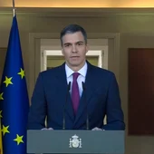 Pedro Sánchez, durante su comparecencia/ EFE Pedro Sánchez, durante su comparecencia/ EFE