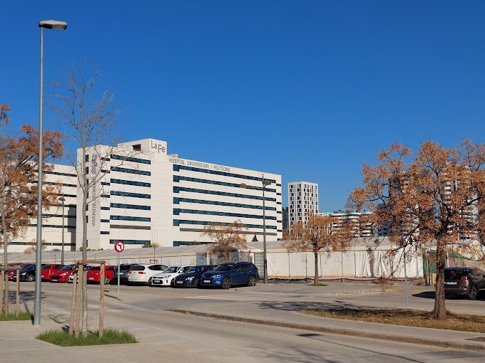 Hito histórico: extirpan un tumor a una bebé mientras sigue unida a su madre Hito histórico: extirpan un tumor a una bebé mientras sigue unida a su madre