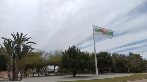 Rotonda en Elche. Rotonda en Elche.