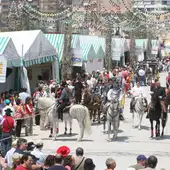 Torrevieja celebrará el homenaje a su Feria de Mayo en el Parque de la Estación del 9 al 12 de mayo Torrevieja celebrará el homenaje a su Feria de Mayo en el Parque de la Estación del 9 al 12 de mayo