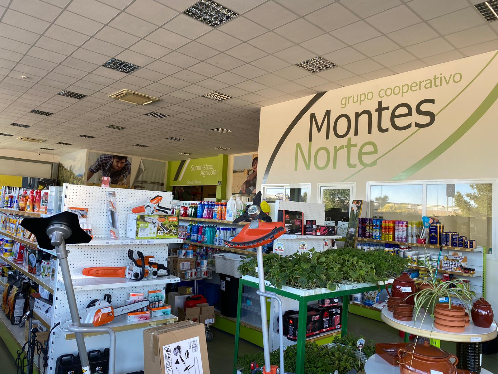 'Deja que fluya' con Montes Norte 'Deja que fluya' con Montes Norte