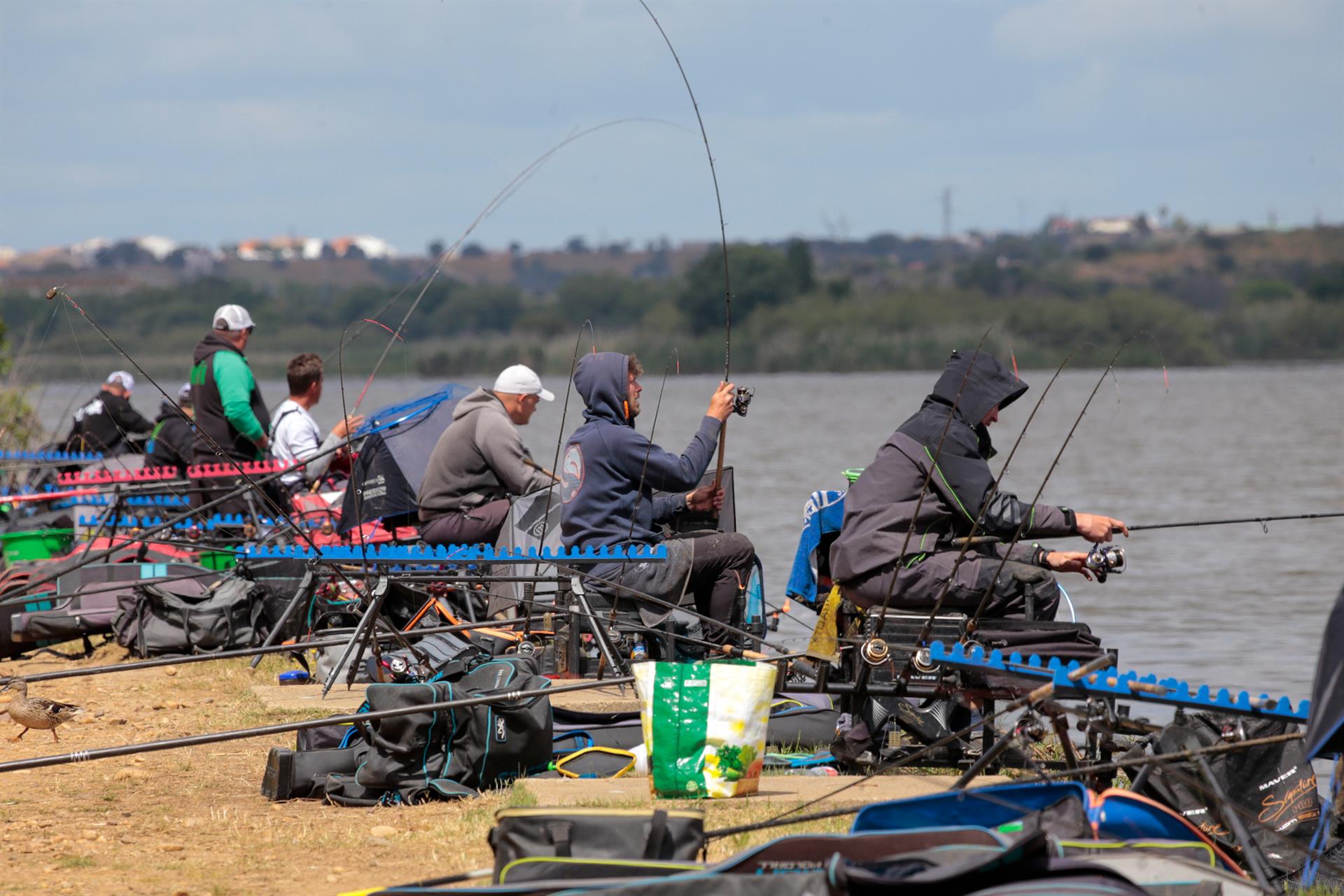 Unos 200 participantes de 21 países disputarán en Mérida el XIII Campeonato del Mundo de Pesca con Cebador Unos 200 participantes de 21 países disputarán en Mérida el XIII Campeonato del Mundo de Pesca con Cebador