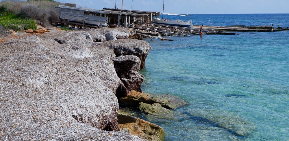 Las playas y la posidonia oceánica protagonizan el primer Formentera al día del mes de mayo Las playas y la posidonia oceánica protagonizan el primer Formentera al día del mes de mayo