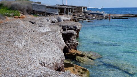 Posidonia océanica en las playas de Formentera