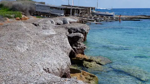 Posidonia océanica en las playas de Formentera Posidonia océanica en las playas de Formentera