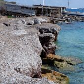 Posidonia océanica en las playas de Formentera