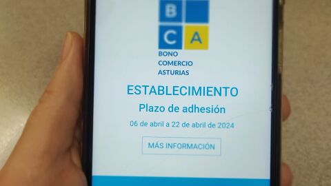 Web para la descarga de los bonos regionales de consumo
