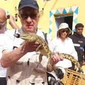 veneración de la cultura egipcia por el cocodrilo veneración de la cultura egipcia por el cocodrilo