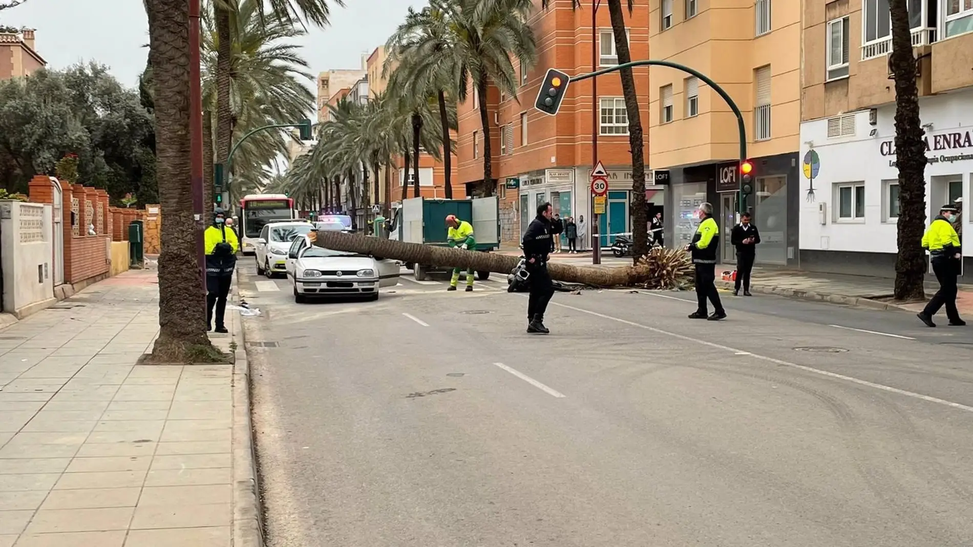 Una palmera se desploma sobre un vehículo y una motocicleta en la Avenida Cabo de Gata de Almería ocasionando dos fallecidos