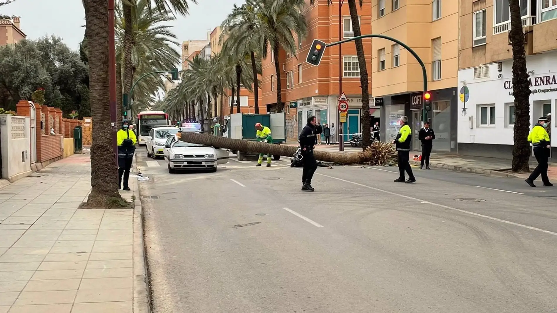 Una palmera se desploma sobre un vehículo y una motocicleta en la Avenida Cabo de Gata de Almería ocasionando dos fallecidos Una palmera se desploma sobre un vehículo y una motocicleta en la Avenida Cabo de Gata de Almería ocasionando dos fallecidos
