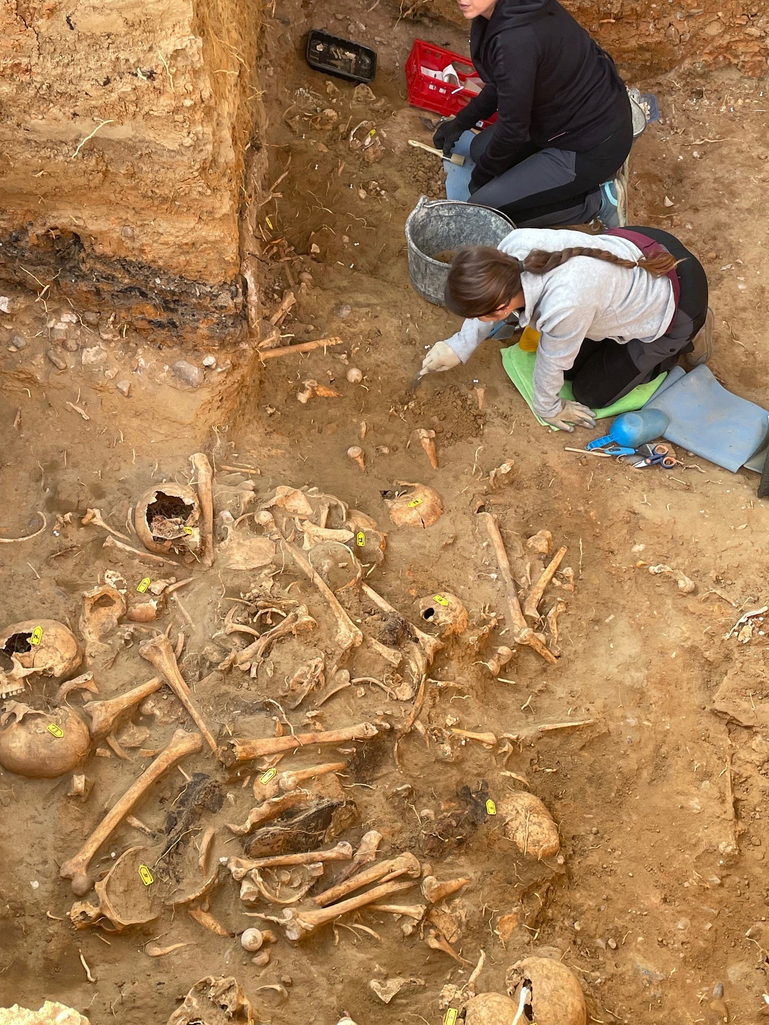Armhex insta a PP y Vox a "paralizar de forma inmediata" la presentación de una ley de concordia tras el informe de la ONU Armhex insta a PP y Vox a "paralizar de forma inmediata" la presentación de una ley de concordia tras el informe de la ONU