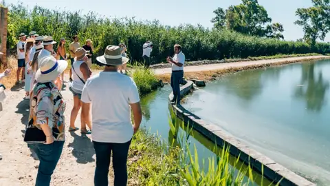 Valencia Culinary Festival Valencia Culinary Festival