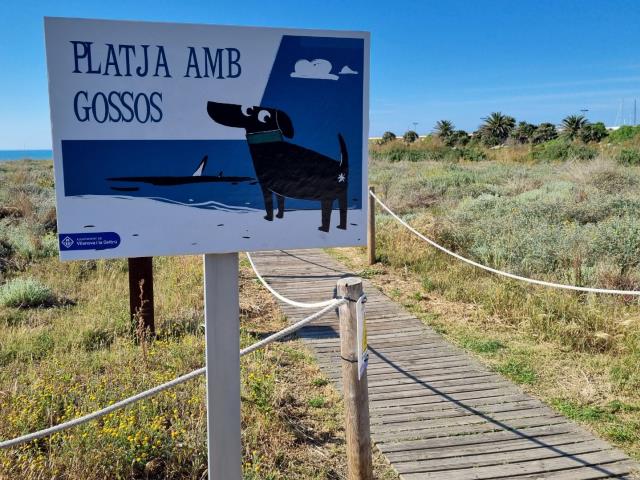 Tret de sortida a la temporada de platges de Vilanova que estrena un espai habilitat per a gossos a la platja del Far Tret de sortida a la temporada de platges de Vilanova que estrena un espai habilitat per a gossos a la platja del Far