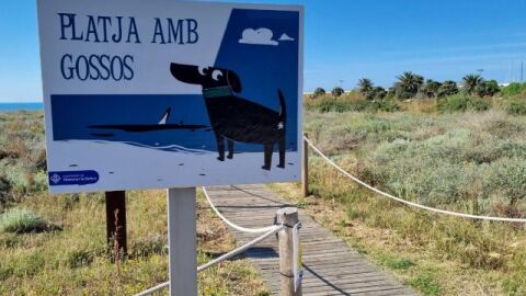 La platja amb gossos es troba a la platja del Far