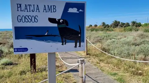 La platja amb gossos es troba a la platja del Far La platja amb gossos es troba a la platja del Far