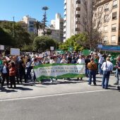 200 vecinos y agricultores de San Miguel llevan su protesta contra la planta solar hasta Alicante